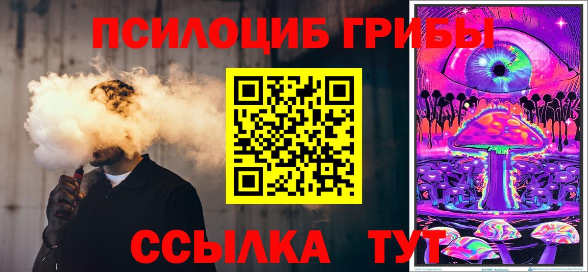 Псилоцибиновые грибы GOLDEN TEACHER  Галлюциногенные грибы Psilocybine cubensis  Гай  Вход с VPN 