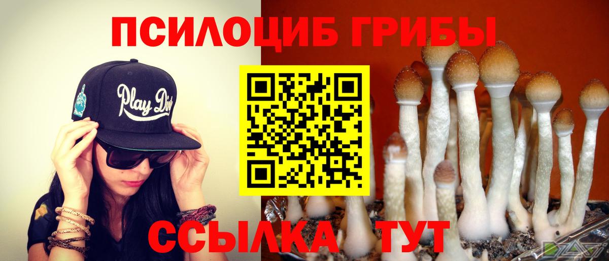 Псилоцибиновые грибы мухоморы Гай